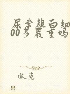 尿常规白细胞300多严重吗