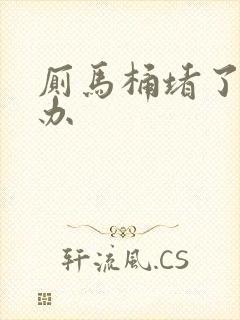 厕马桶堵了怎么办