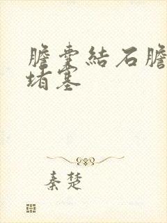 胆囊结石胆囊管堵塞