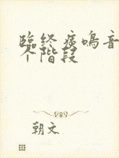 临终痰鸣音是哪个阶段