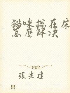 猫咪总在床上尿怎么解决