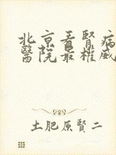 北京看肾病哪个医院最权威