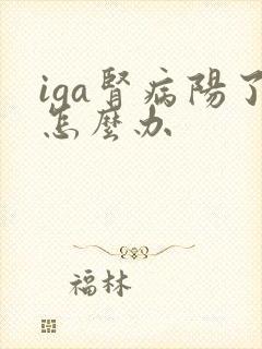 iga肾病阳了怎么办