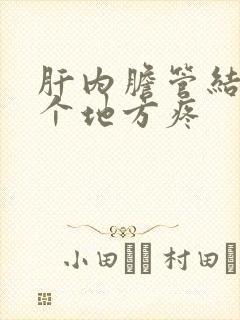 肝内胆管结石哪个地方疼