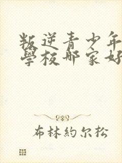 叛逆青少年特训学校哪家好些