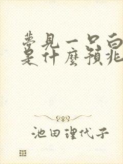 梦见一只白兔子是什么预兆