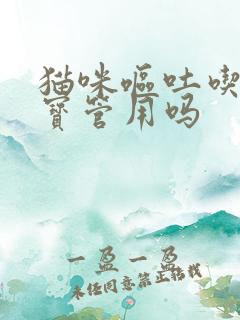 猫咪呕吐吃肠胃宝管用吗