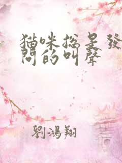 猫咪总是发出疑问的叫声