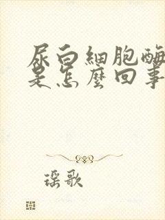 尿白细胞酶阳性是怎么回事