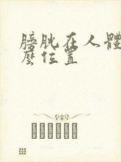 膀胱在人体的什么位置