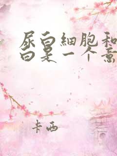 尿白细胞和尿蛋白是一个意思吗