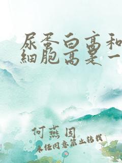 尿蛋白高和尿白细胞高是一回事吗