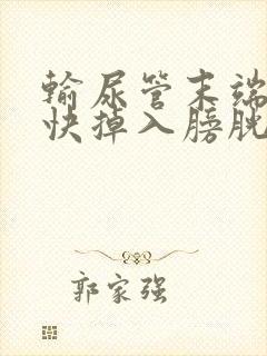 输尿管末端结石快掉入膀胱的前兆