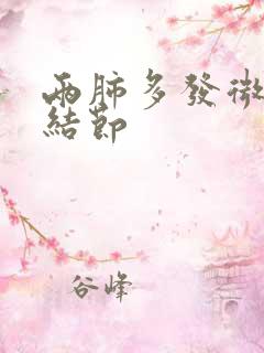 两肺多发微小实结节