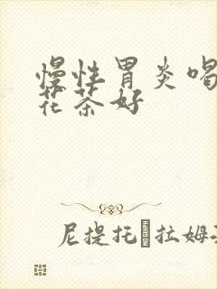 慢性胃炎喝什么花茶好