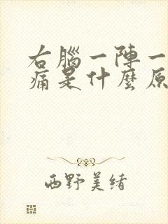 右脑一阵一阵刺痛是什么原因