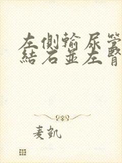 左侧输尿管中段结石并左肾轻度积水