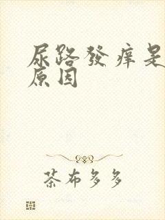 尿路发痒是什么原因