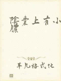 阴囊上有小硬流脓