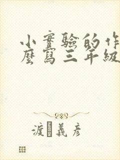 小实验的作文怎么写三年级