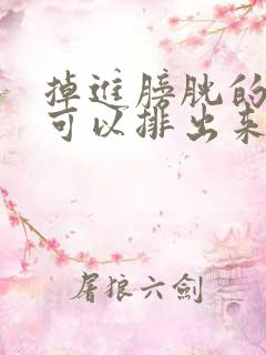 掉进膀胱的结石可以排出来吗