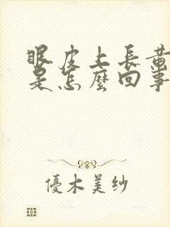 眼皮上长黄褐斑是怎么回事