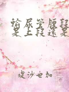 输尿管腹段结石是上段还是下段