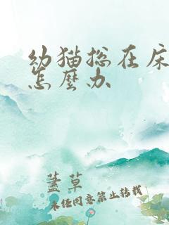 幼猫总在床上尿怎么办