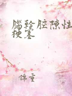 脑干腔隙性脑有梗塞