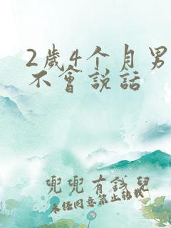 2岁4个月男宝不会说话