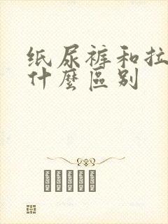 纸尿裤和拉拉裤什么区别