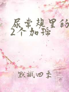 尿常规里的酮体2个加号