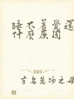 睡不着觉还困是什么原因