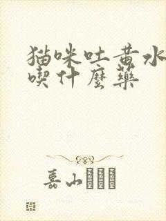 猫咪吐黄水拉稀吃什么药