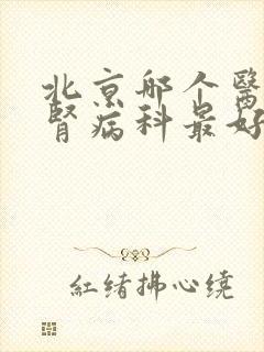 北京哪个医院看肾病科最好