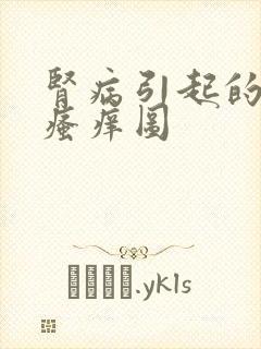 肾病引起的皮肤瘙痒图