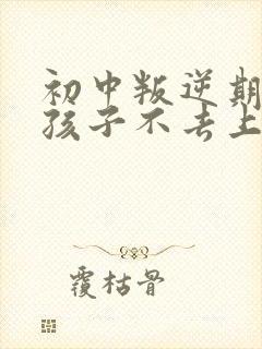 初中叛逆期的男孩子不去上学怎么去引导