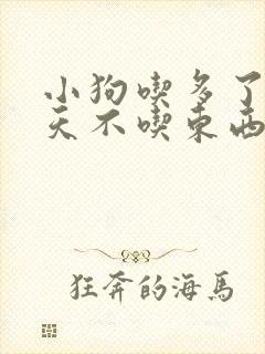 小狗吃多了第二天不吃东西怎么办