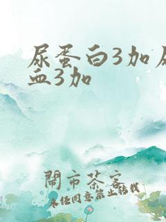 尿蛋白3加尿隐血3加