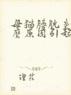 母猫膀胱炎是什么原因引起的