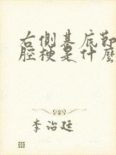 右侧基底节区小腔梗是什么意思