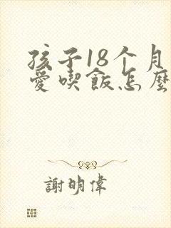 孩子18个月不爱吃饭怎么办