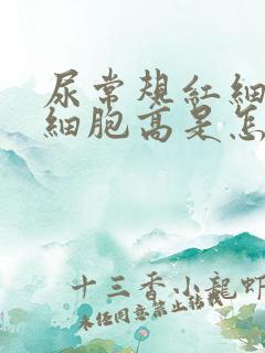 尿常规红细胞白细胞高是怎么回事