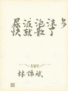 尿液泡沫多但很快就散了