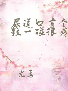 尿道口有个小肉粒一碰很疼