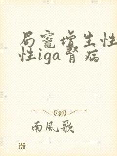 局灶增生性坏死性iga肾病