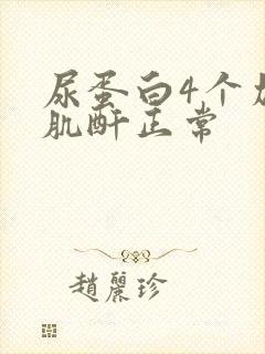 尿蛋白4个加号肌酐正常