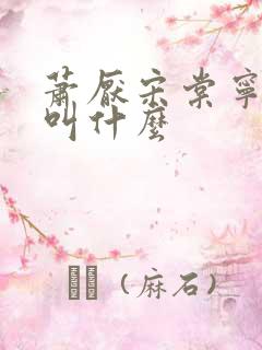 萧厌宋棠宁短剧叫什么