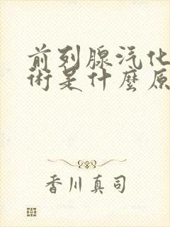 前列腺汽化电切术是什么原理