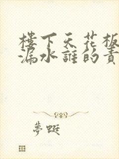 楼下天花板管道漏水谁的责任